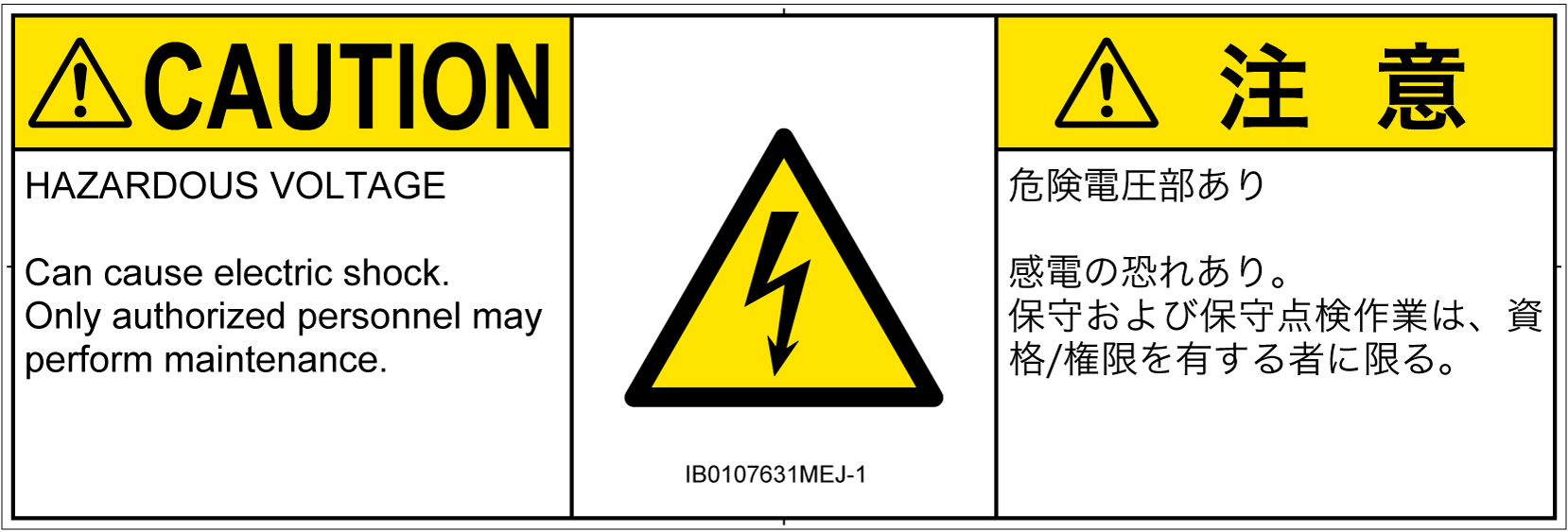 IB0107631　感電