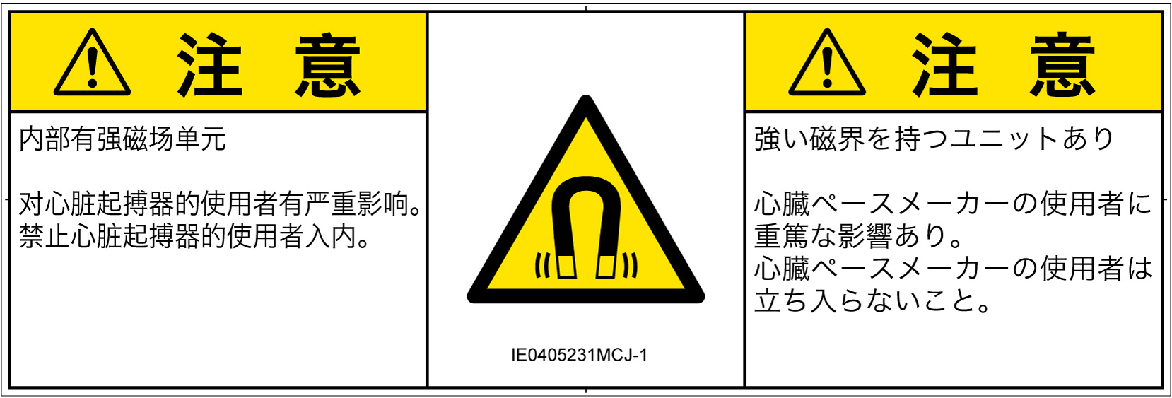 IE0405231　磁場