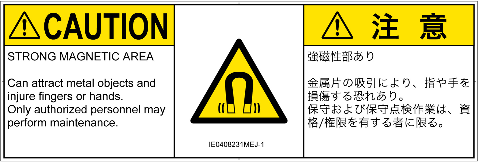 IE0408231　磁場