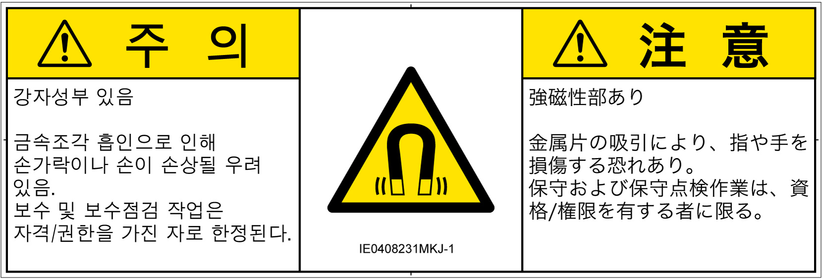 IE0408231　磁場