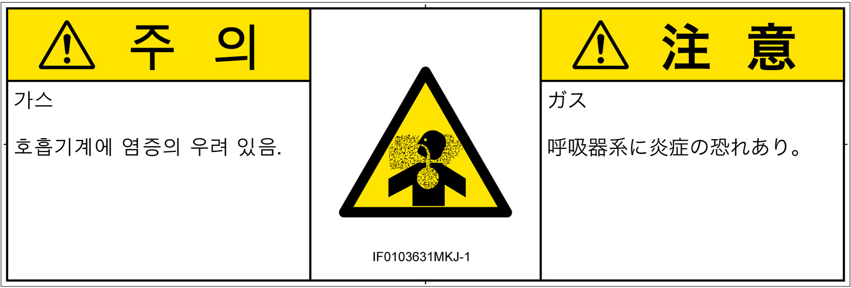 IF0103631　有毒ガス/窒息