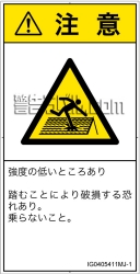 IG0405411　強度の弱い屋根